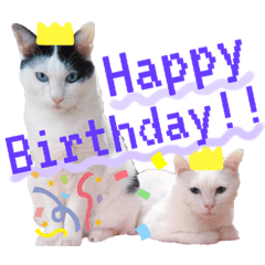 中山家のたまはち。