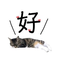 一文字で表したい気持ち。