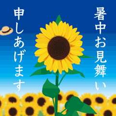 【飛び出す　夏　挨拶】