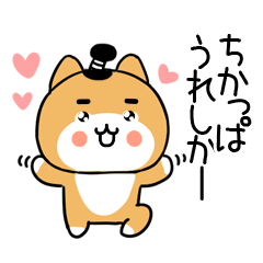 武士柴犬＠博多弁スタンプ＠97