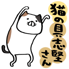 猫の具志堅さん