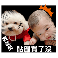 Irene_20230329083334