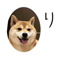 いぬのえぶりでい