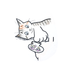 三毛猫まめチャン３