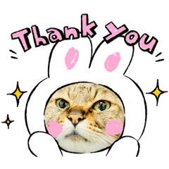 つなぼっちゃん