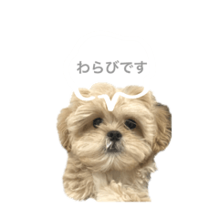 わらびもち　warabimochi