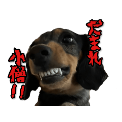 わがままリンクちゃん