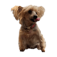 happy_20230520211532