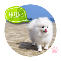 もこもこまろスタンプ