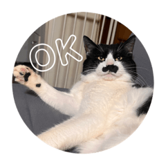 はるくの日常 3