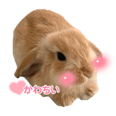 もかくんのスタンプ②