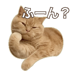 モルさんスタンプ１