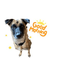 はじめましてアキです