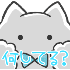 水色推しねこ(報告)