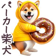 毎日使える パーカー柴犬 ぽっちゃり 日常