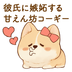 彼氏に嫉妬する甘えん坊コーギー
