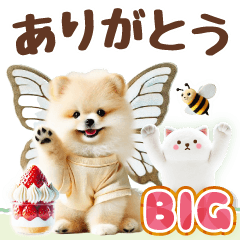 癒しポメラニアンの春のあいさつ【BIG】