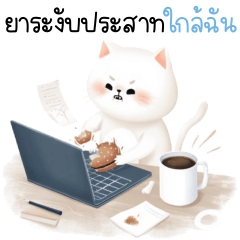 Charlie the Cat Near Me 1_52