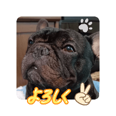 福呼ぶ福ちゃん