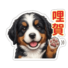 Sheepdog (Taiwanese)
