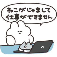 猫とうさちゃん　その４