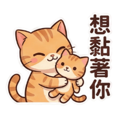 A colorful daily life 15