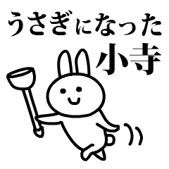 うさぎになった小寺
