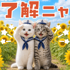 とびだす！ニャンさんズ（夏）