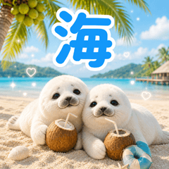 とびだす★海 アザラシ★