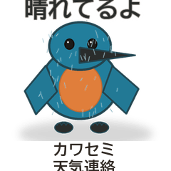 カワセミ天気連絡