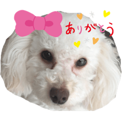 ポジティブな返信