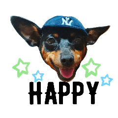 ミニピン「よく使う言葉1」