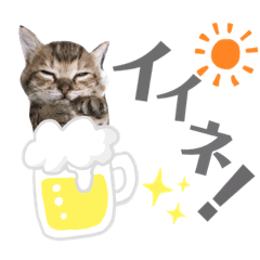 足立家のあおちゃん