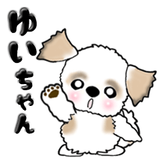 シーズー犬のゆいちゃん