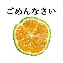 みかんみたいなレモン と 文字