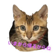 いろいろクウガ