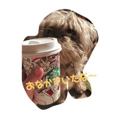 ももももんももちゃん