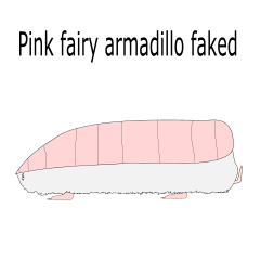 ヒメアルマジロモドキ