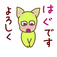 はぐ猫くん