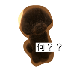 シェリちゃん☻