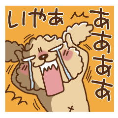 トイプーのぷう太郎　基本ごあいさつセット