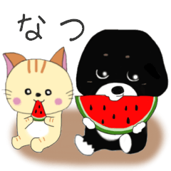 くろちゃん的な日々 7