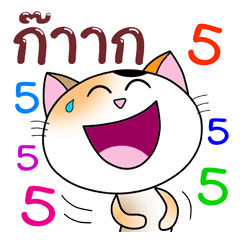 CoolHappy Cats: Be Cheerful+FUN Everyday