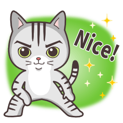 お調子者！アメリカンショートヘアもふ君 2