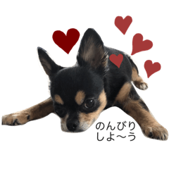 はなちゃんの。1