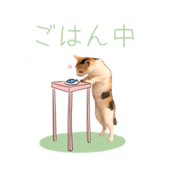 おかかスタンプ2