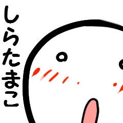 しらたまこさん