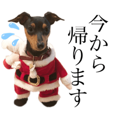 むぎきゃわいい1