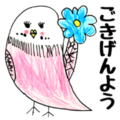 おしゃべりインコ2