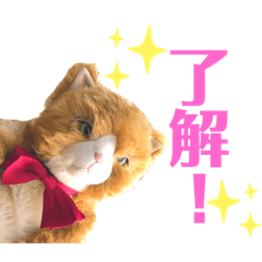 隊長スタンプ【 Welina bridal】